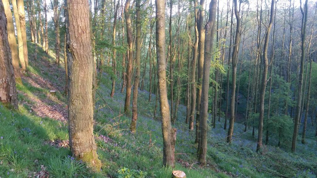 Low Nook Farm Holiday Cottage 브램프톤 외부 사진